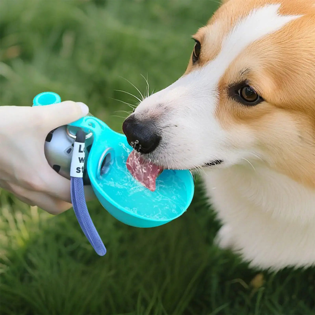 PawHydrate™ – Portable 2‑in‑1 Dog Water Bottle